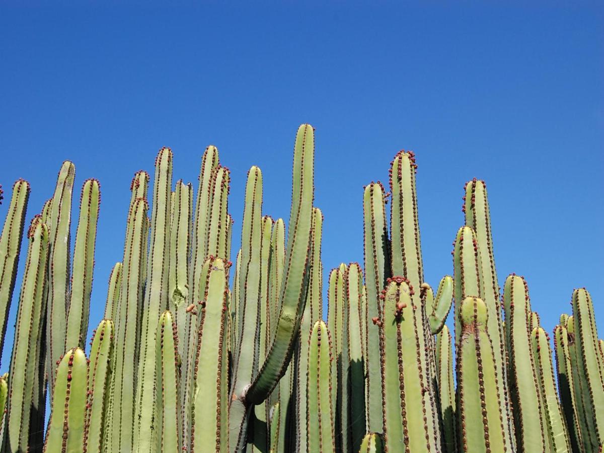 Los Lagos 20 By Villagrancanaria Salobre  Kültér fotó
